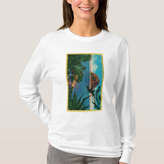 Camiseta Roca de Morro en el condado de San Luis_obispo (Anverso)