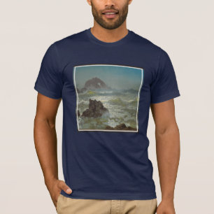 Camiseta Roca del sello, California, c.1872