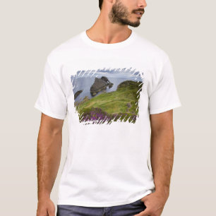 Camiseta Roca del violín del arco, Portknockie, Escocia