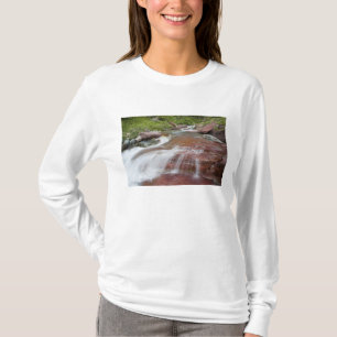 Camiseta Roca roja en Baring Creek en Glacier National