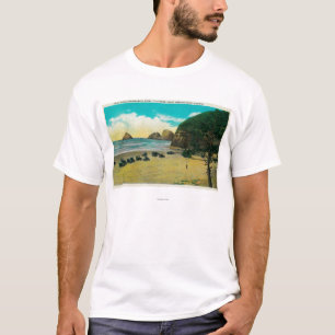 Camiseta Rocas del arco y punto del maxwell