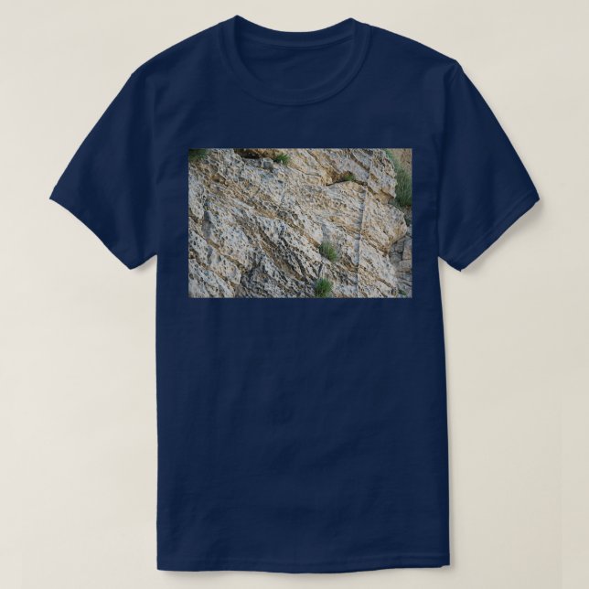 Camiseta Rock Weathered Moray (Diseño del anverso)