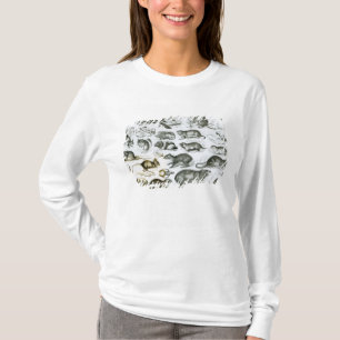 Camiseta Rodentia-Roedores o animales de roedura