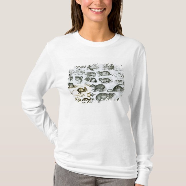 Camiseta Rodentia-Roedores o animales de roedura (Anverso)