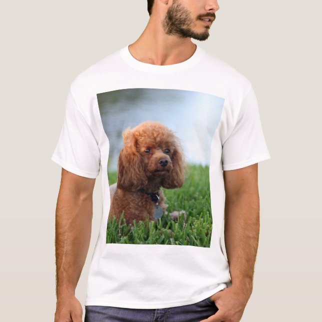 Camiseta roja del caniche de juguete (Anverso)