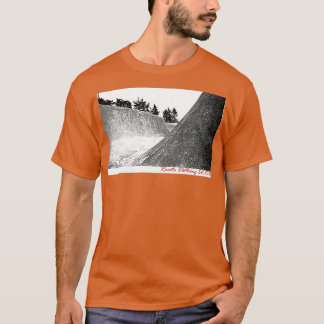 Camiseta Rom