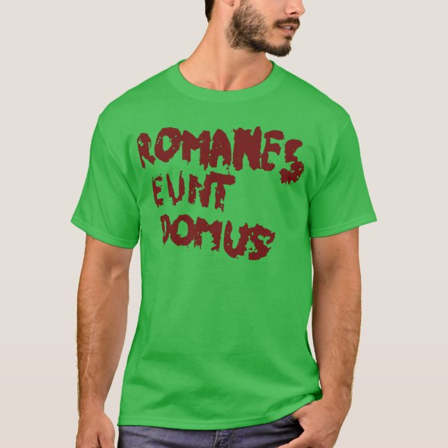 Camiseta Romanes eunt domus chico (Anverso)
