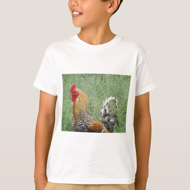 Camiseta Roosters (Anverso)