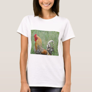 Camiseta Roosters
