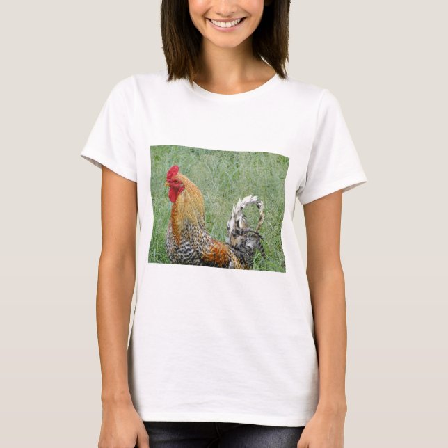 Camiseta Roosters (Anverso)