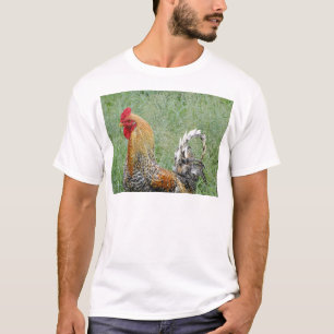 Camiseta Roosters