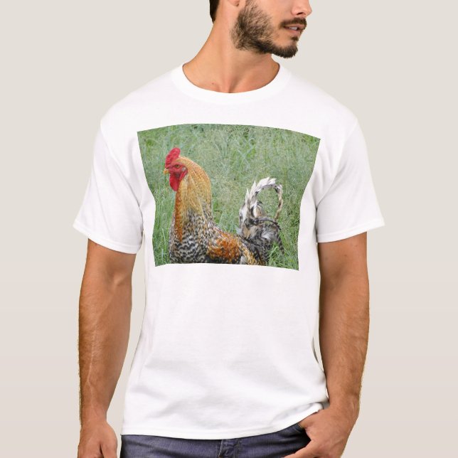 Camiseta Roosters (Anverso)