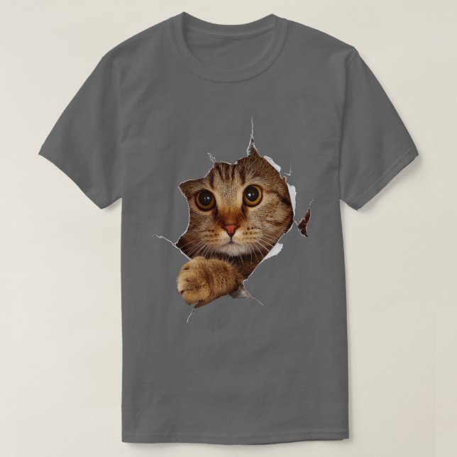 Camiseta Ropa de felino dulce desgarrada - Grasa divertida  (Diseño del anverso)
