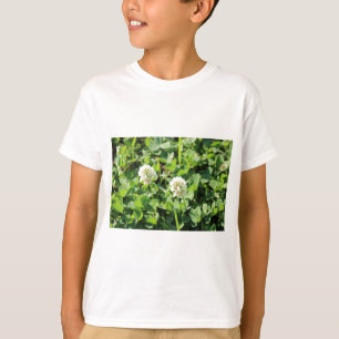 Camiseta Ropa y flores