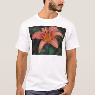 Camiseta Ropa y regalos encantadores de día de lirio castañ