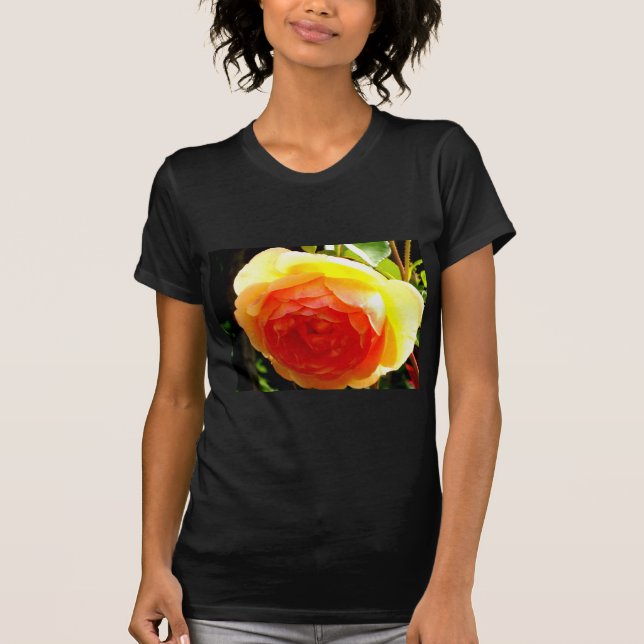 Camiseta Rosa amarilla (Anverso)
