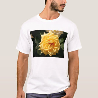 Camiseta Rosa amarillo