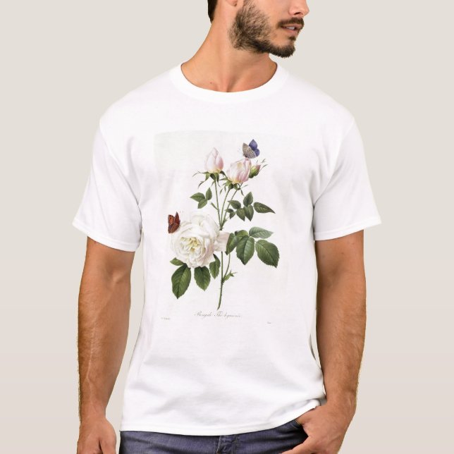 Camiseta Rosa: Bengale el Hymenes (Anverso)