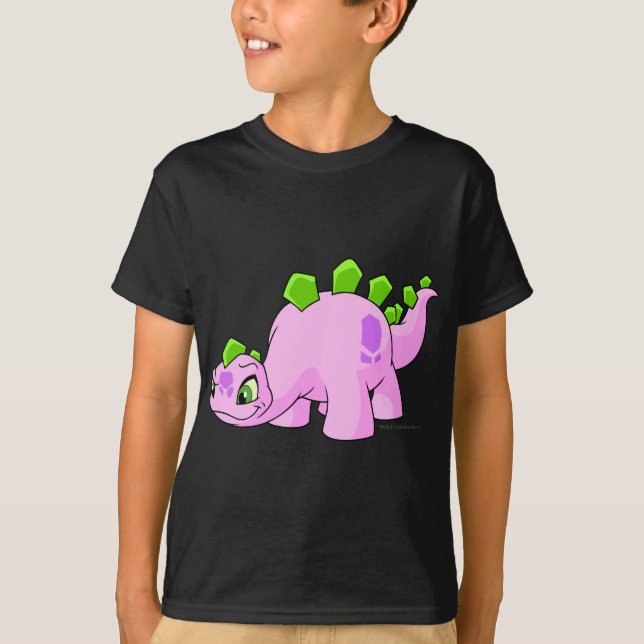 Camiseta Rosa de Chomby (Anverso)