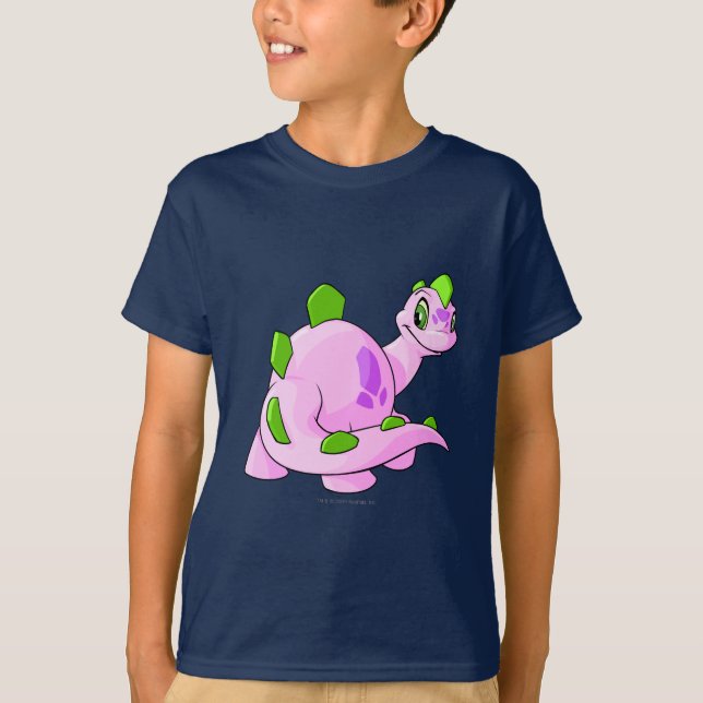 Camiseta Rosa de Chomby (Anverso)