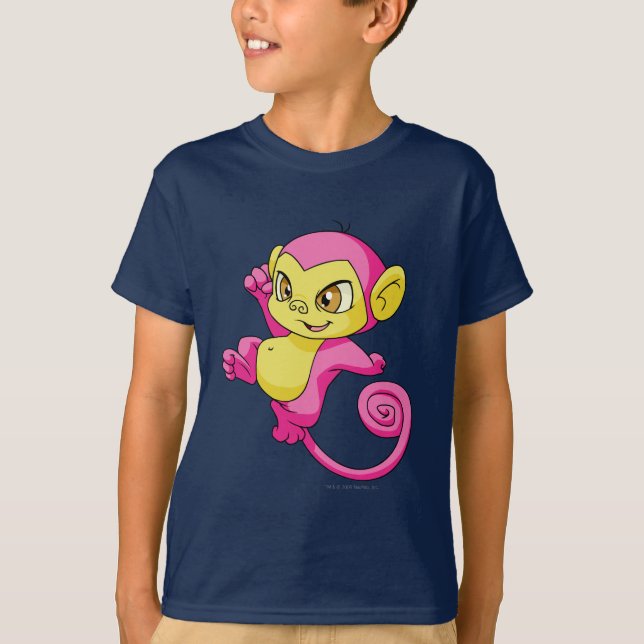 Camiseta Rosa de Mynci (Anverso)