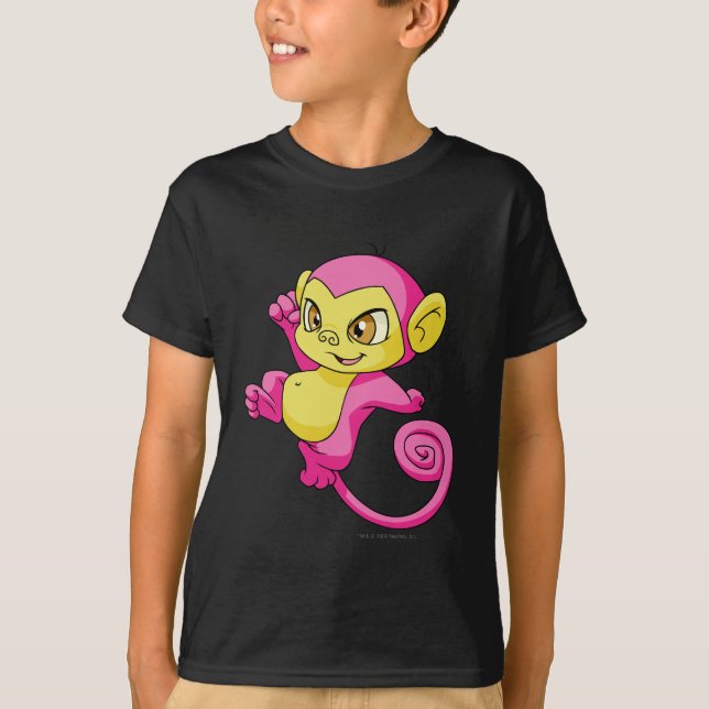 Camiseta Rosa de Mynci (Anverso)