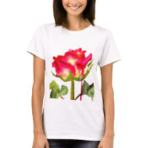 Rosa de té híbrido acuarela arte floral moderno