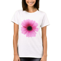 Rosa del Gerbera - margarita