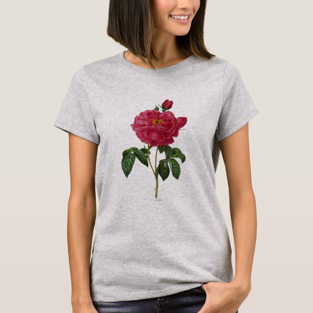 Camiseta Rosa Gallica (Anverso)