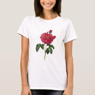 Camiseta Rosa Gallica