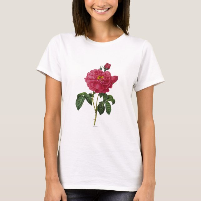 Camiseta Rosa Gallica (Anverso)