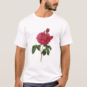 Camiseta Rosa Gallica