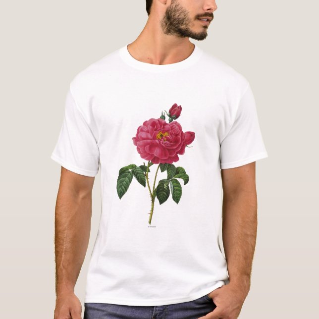 Camiseta Rosa Gallica (Anverso)