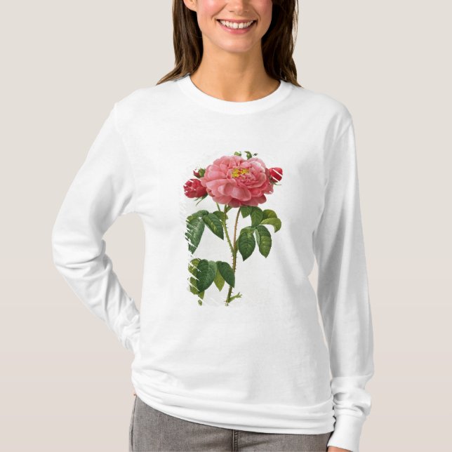 Camiseta Rosa Gallica Aurelianensis (Anverso)
