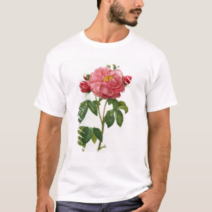 Camiseta Rosa Gallica Aurelianensis