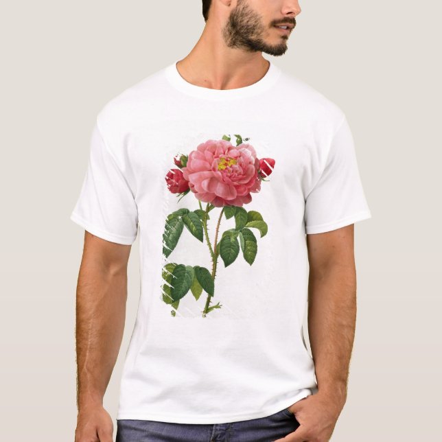 Camiseta Rosa Gallica Aurelianensis (Anverso)