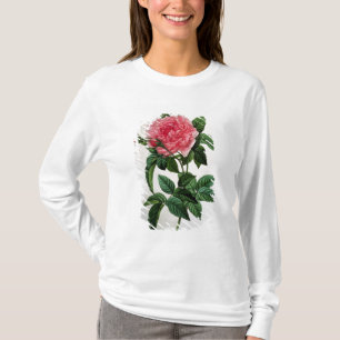 Camiseta Rosa Gallica Regallis