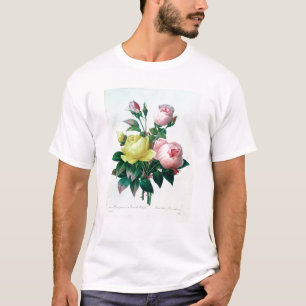 Camiseta Rosa Lutea y Rosa Indica