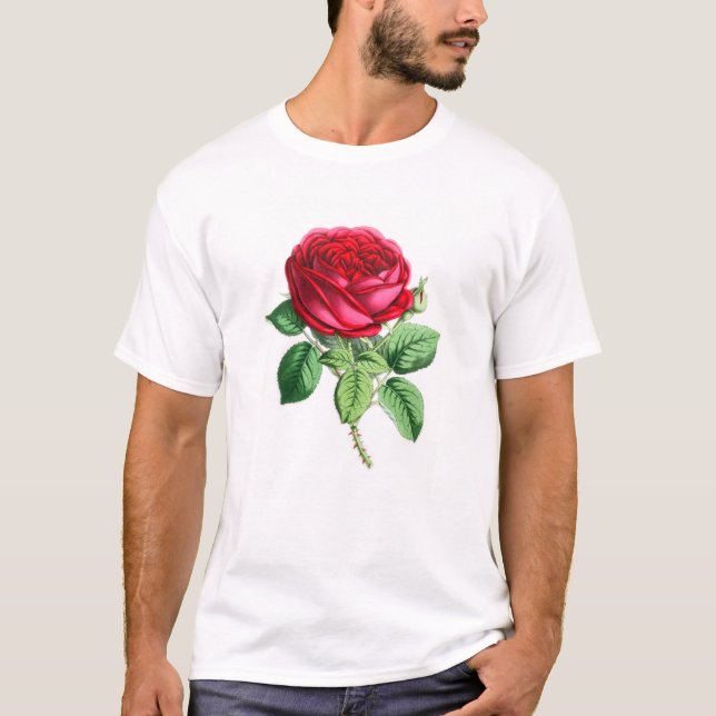 Camiseta Rosa perpetuo híbrido - Napoleón III (Anverso)