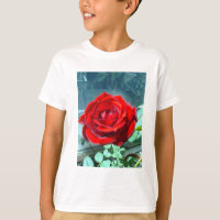 Rosa roja borrosa brillante