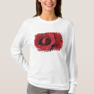 Camiseta Rosa roja cubierta de rocío decorando un lugar de