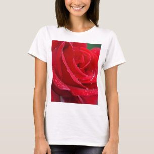 Camiseta Rosa roja sola florece