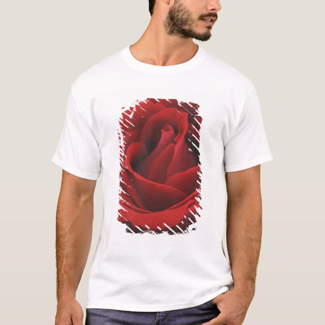 Camiseta Rosa rojo floreciente (Anverso)