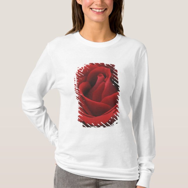 Camiseta Rosa rojo floreciente (Anverso)