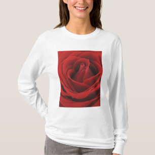 Camiseta Rosa rojo floreciente