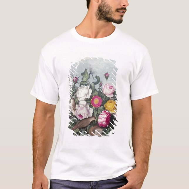 Camiseta Rosas, 'del templo de Flora (Anverso)