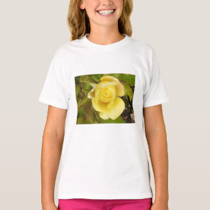 Camiseta Rosebud amarillo