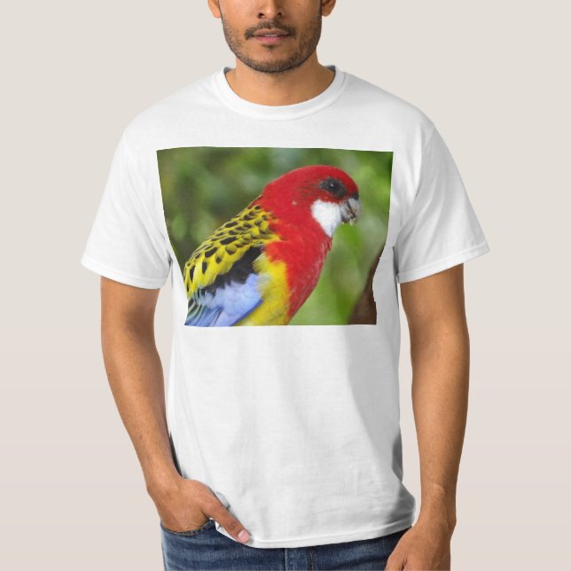 Camiseta Rosella del este masculino (Anverso)