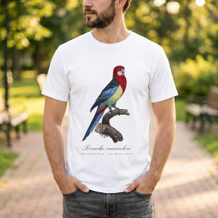 Camiseta rosella oriental o perico Platycercus eximius