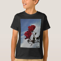 Roses rojos contra un brillante cielo azul